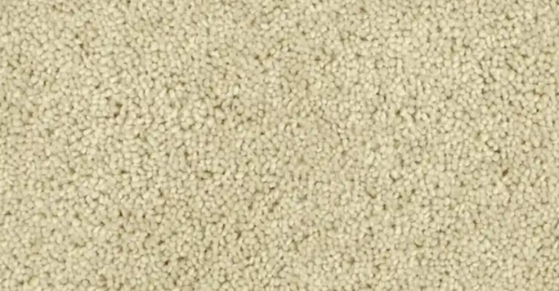 Cremefarbener Wollteppich: warmes Elfenbein zwischen Weiß und Beige