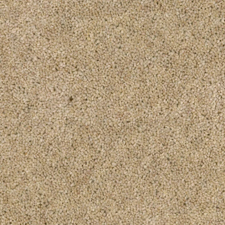 wollen traploper excellent 291