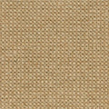 wollen traploper rodin 2054